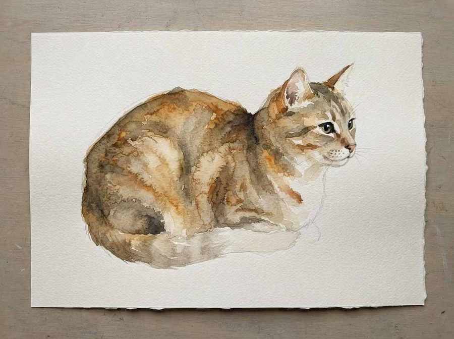 Кошка акварелью